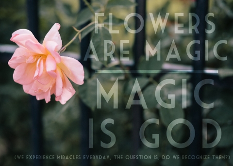 flowers-are-magic-magic-is-god-photo-010