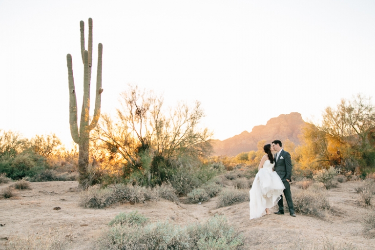 phoenix-desert-scottdale-wedding-photo-cactus-030