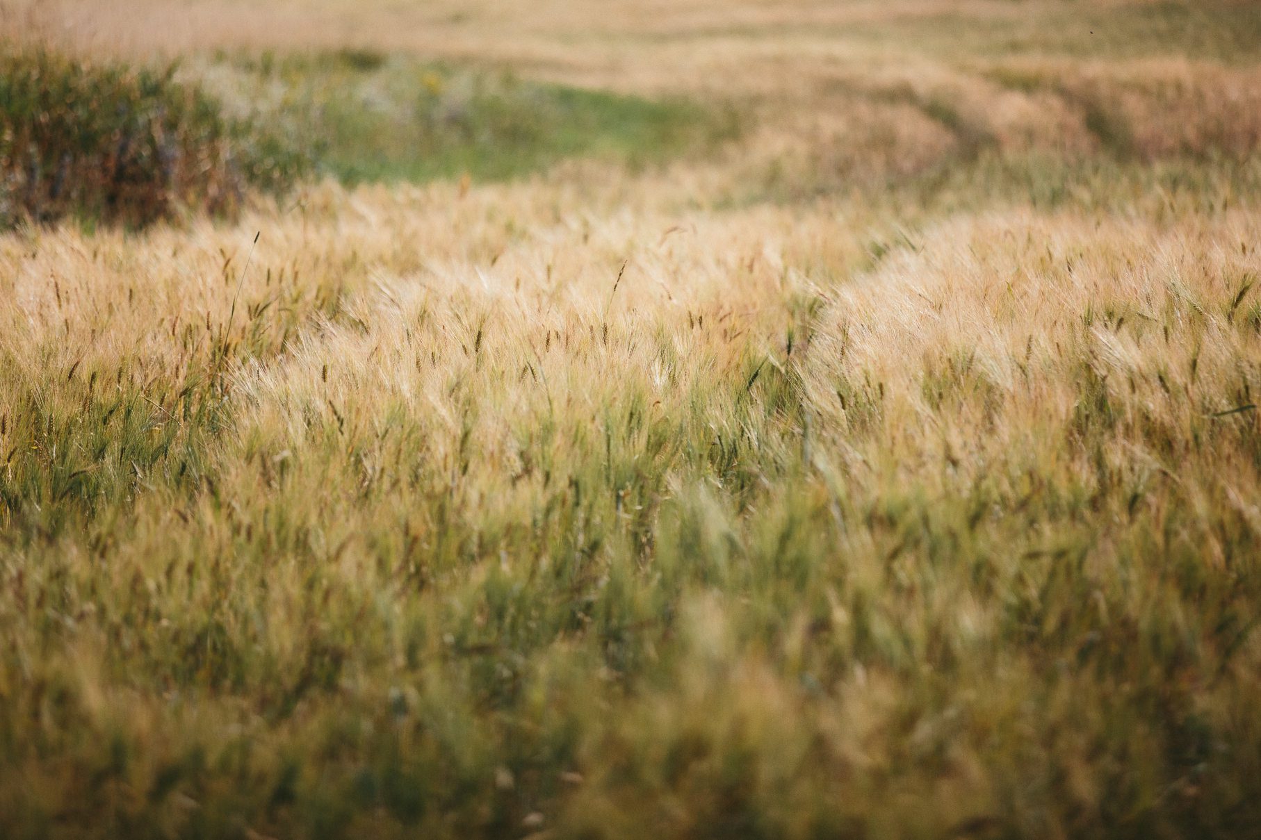 nothern-michigan-lake-superior-engagement-photo-015