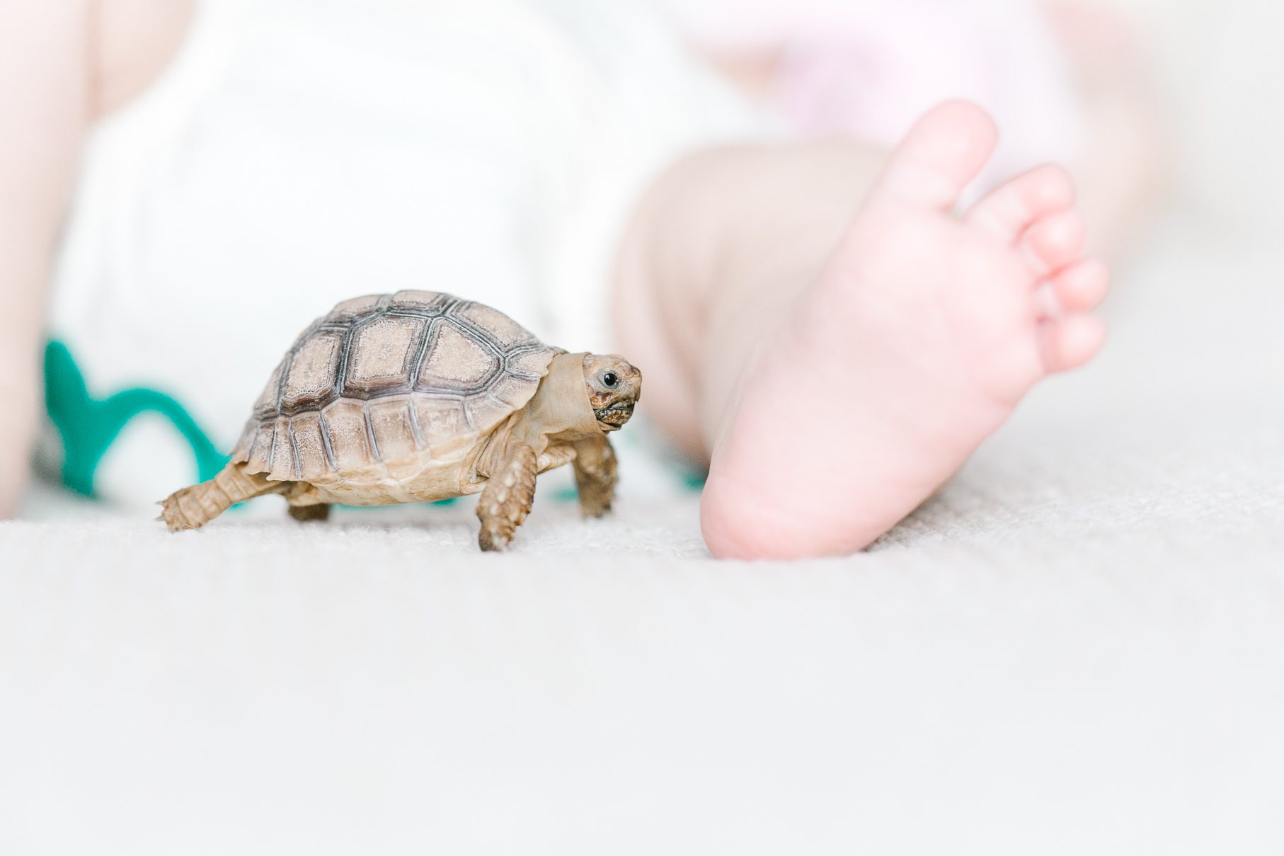 phoenix-scottsdale-arizona-baby-family-photographer-0084