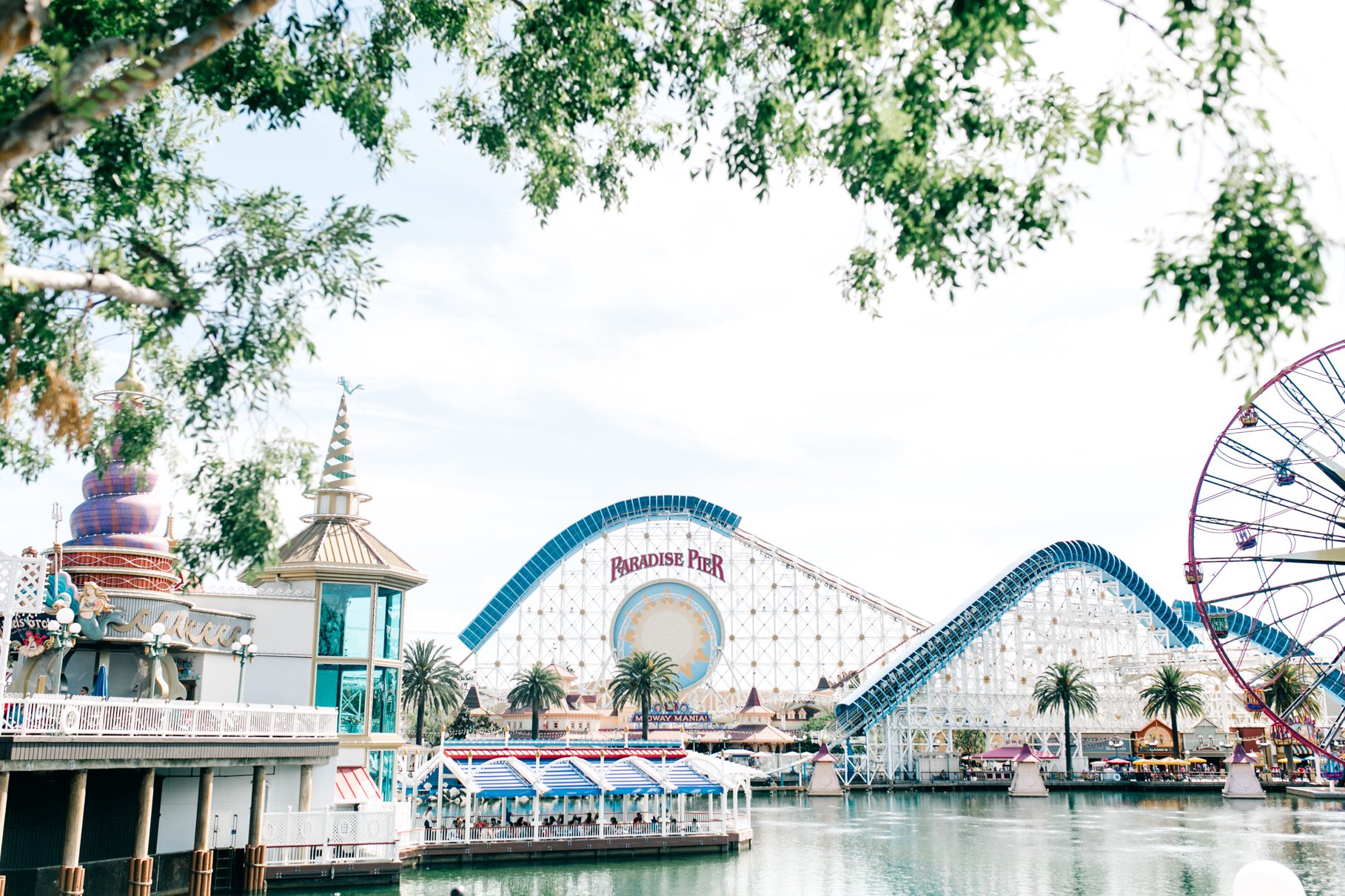 disneyland-engagement-vienna-glenn-photography-003