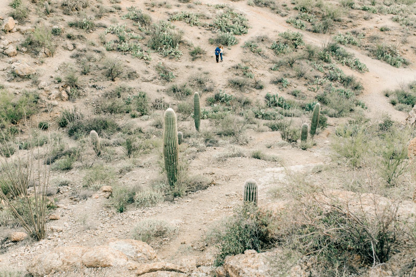 tucson-engagement-vienna-glenn-075