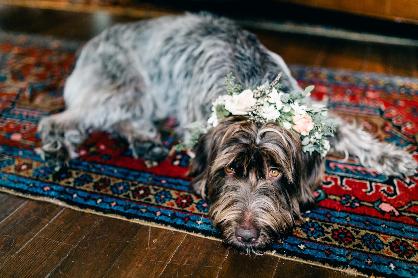 deer-mountain-inn-catskills-wedding-0154