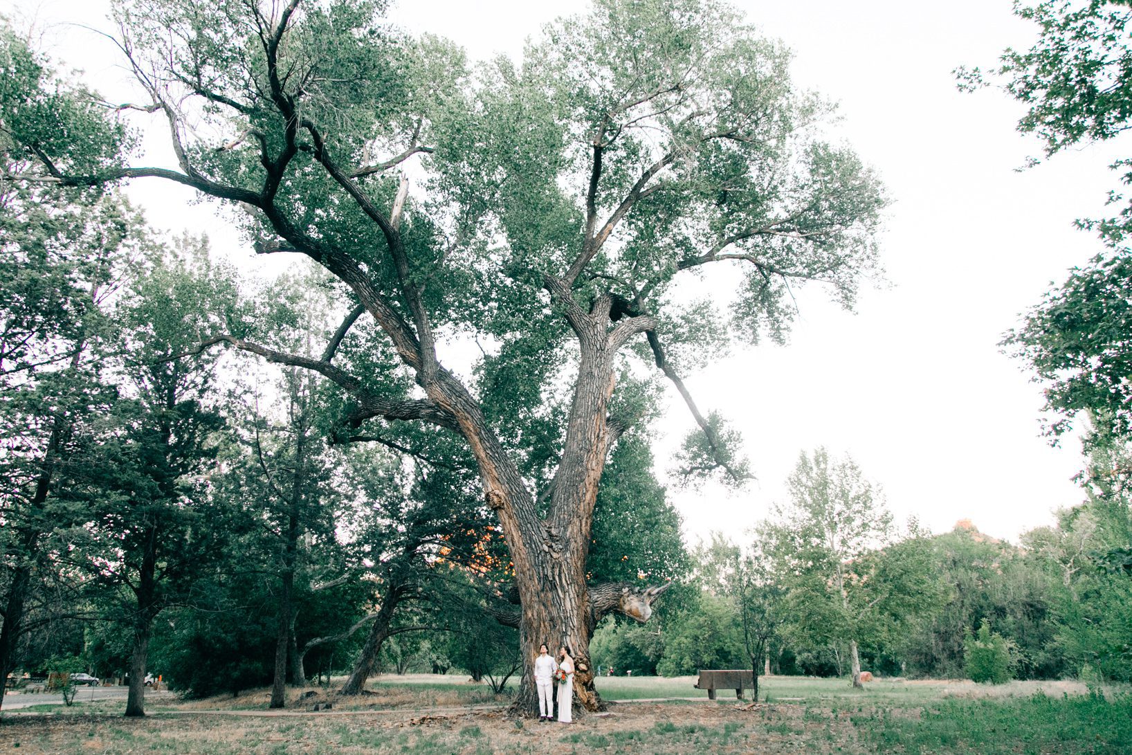 sedona-elopement-vienna-glenn-0114