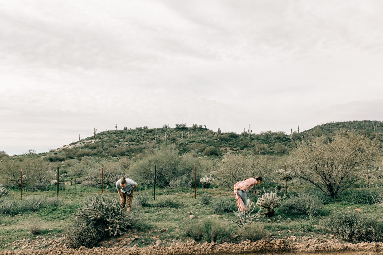 sedona-flagstaff-engagement-session-vienna-glenn351